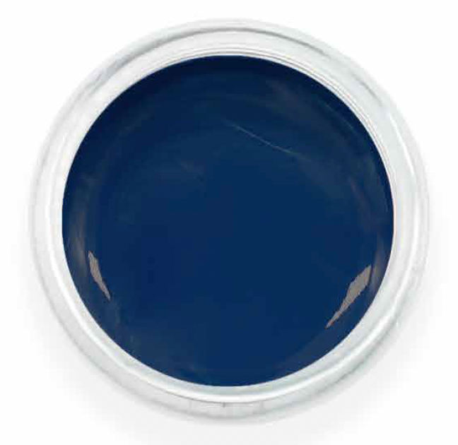 SHIMMERS & COLOR SHIFT GOOSE PASTE